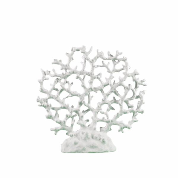 BLOC DE CORAIL 25x6x25 CM