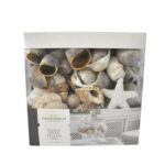 BOITIER    COQUILAGE 800 G