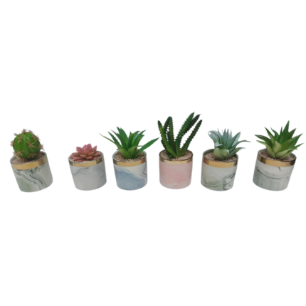 1 POT DE CACTUS TRENDY