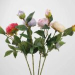 TIGE  FLEUR