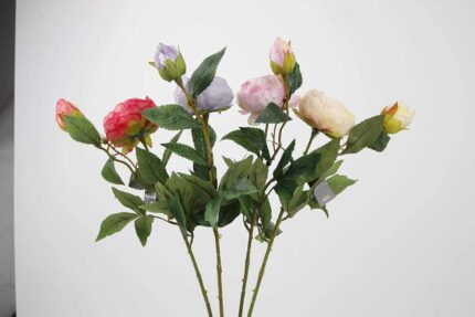 TIGE  FLEUR