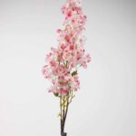 TIGE FLEUR