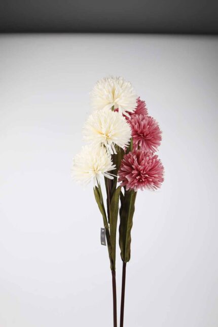 TIGE  FLEUR