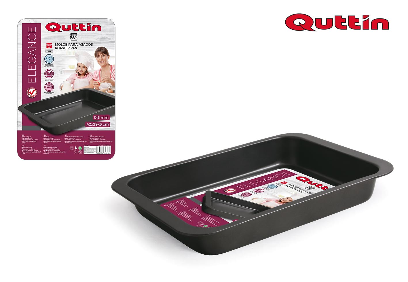 MOULE 42X29X5CM/0.5MM QUTTIN