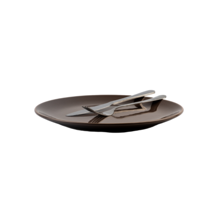 ASSIETTE CERAMIQUE  RONDE 28 CM