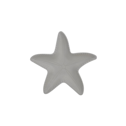ASSIETTE ETOILE D'OCEAN