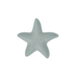 ASSIETTE ETOILE D'OCEAN