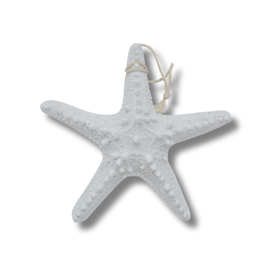 ASTERIE ETOILE DECO 32 CM ASTERIE ETOILE DECO 32 CM