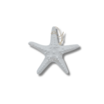 ASTERIE ETOILE DECO 15 CM