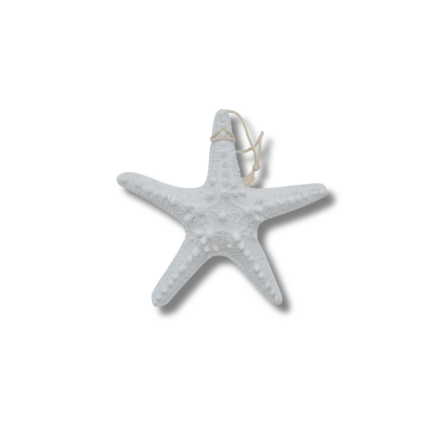 ASTERIE ETOILE DECO 15 CM