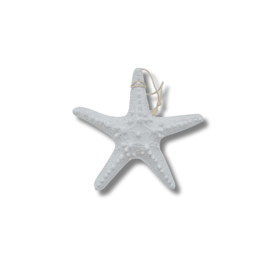 ASTERIE ETOILE DECO 15 CM ASTERIE ETOILE DECO 15 CM