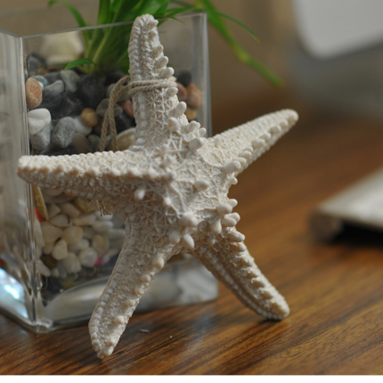 ASTERIE ETOILE DECO 15 CM