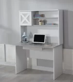 BIG MOUNTAIN I BUREAU