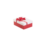 BOITIER CADEAU  PAPIER RIBBON  S:16,8X10,8X6.5 CM