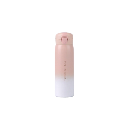 BOUTEILLE ISOTHERME MULTICOULEUR 450 ML