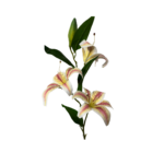 BRANCHE FLEUR LYS ARTIFICIELLE