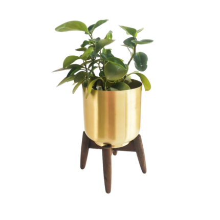 CACHE POT FLEUR DORE METAL PIED EN BOIS