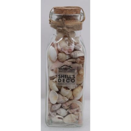 BOUTEILLE MELANGE COQUILLAGE (6X19 2CM) MIX 202+045