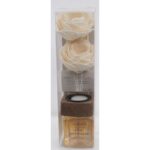 DUFFISEUR AROMATISE 4 5X4 5X17CM LOTUS-VANILLA BLACKPEPPER RF DL136011