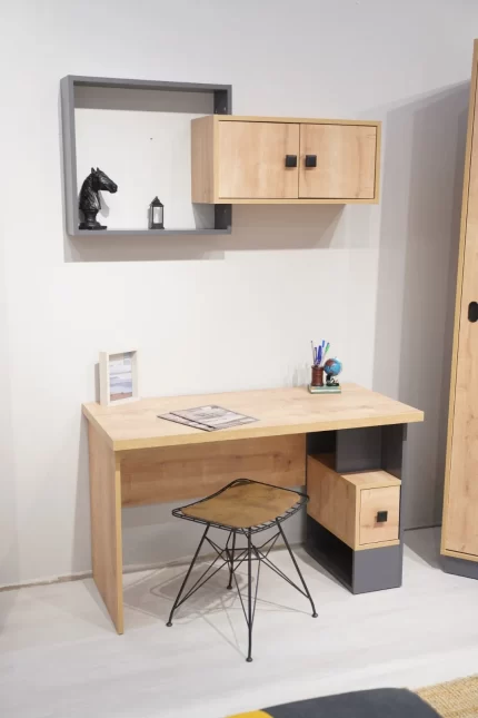 DORLION  BUREAU