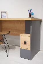 DORLION  BUREAU