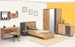 DORLION  BUREAU