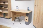 DORLION  BUREAU