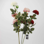 TIGE  FLEUR