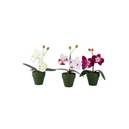 FLEURS ORCHIDEE EN POTS MM