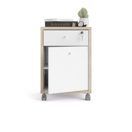 FUNCTION PLUS CAISSON