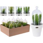 PLANTE ARTIFICIEL  A POT DOME