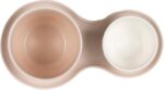 NUDGE SET COFFEE 2 TASSES +ASSIETTE BONBONS ROSEBERRY