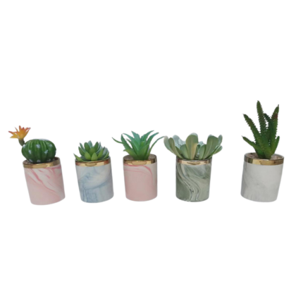 POT DE CACTUS TRENDY