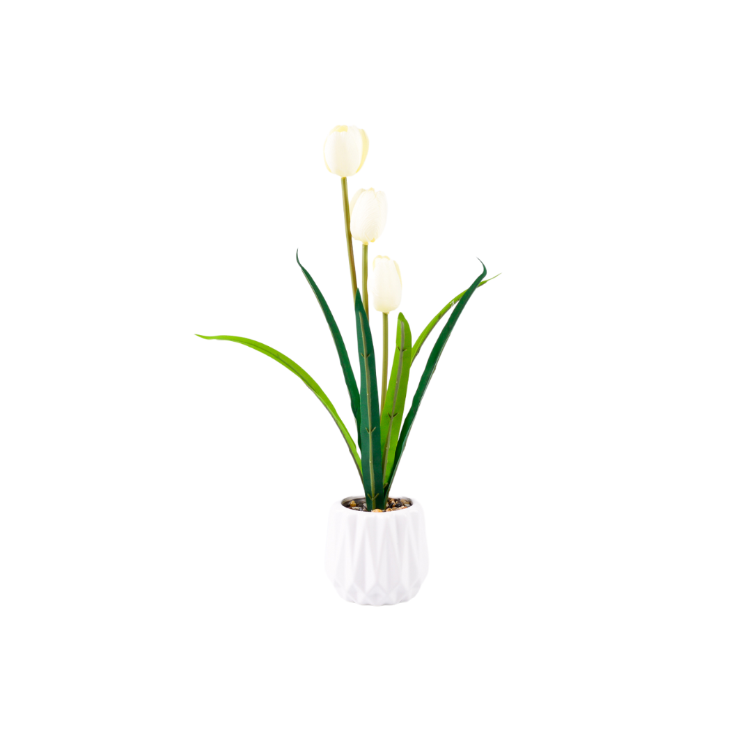 POT DE FLEUR BLAN AVEC 3 TULIPE BRANCHES POT DE FLEUR BLAN AVEC 3 TULIPE BRANCHES