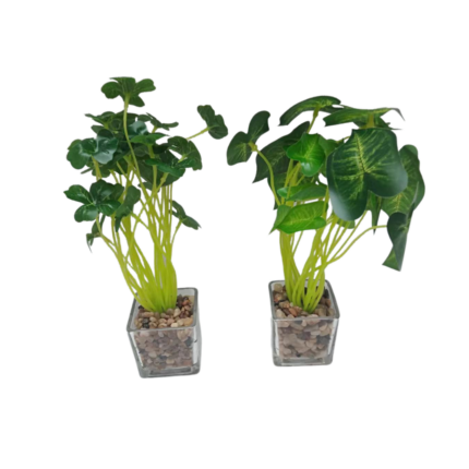POT VERRE AVEC PLANTE BOTANIC