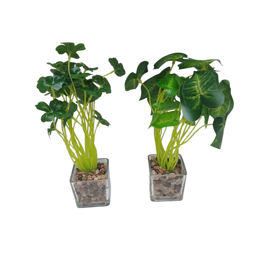 POT VERRE AVEC PLANTE BOTANIC POT VERRE AVEC PLANTE BOTANIC