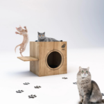 CATSY MAISON CHAT 16A