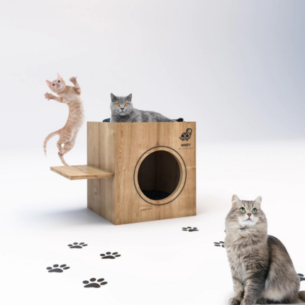 CATSY MAISON CHAT 16A
