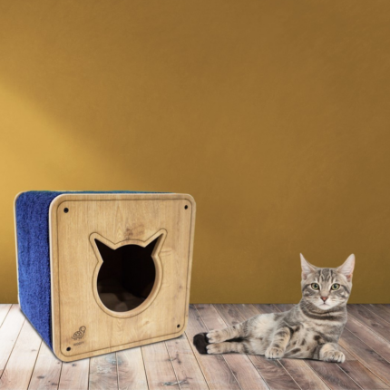 CATSY MAISON CHAT 4A