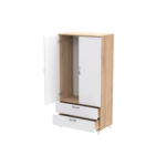 VIZYON ARMOIRE PORTES+2 TIROIRS BLANC