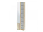 ZAPATEROS KRISTAL ARMOIRE CHAUSSURES AVEC MIROIR