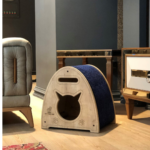 CATSY MAISON CHAT 3A