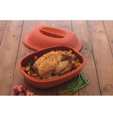 TERRE CUITE BRIQUE POULET